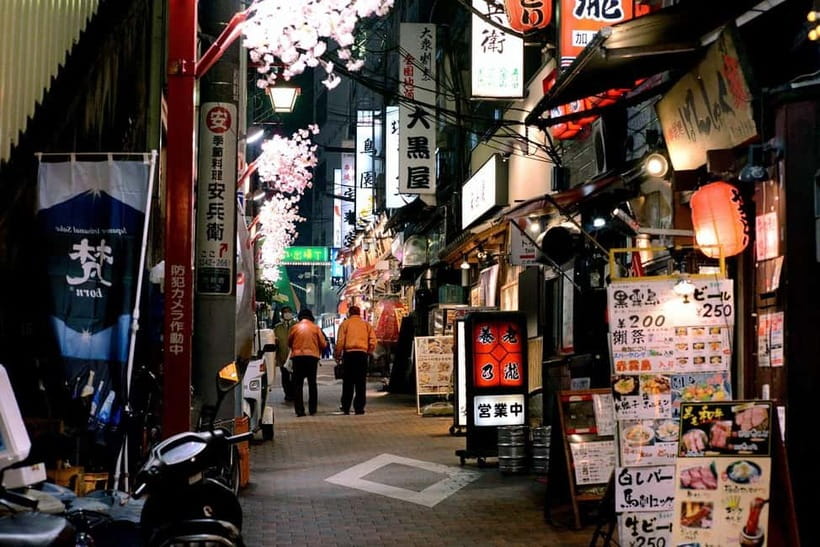 Tokyo: Akihabara, Shibuya, Karaoke & City Lights Night Tour - Who Will Enjoy This Tokyo Night Tour Most?
