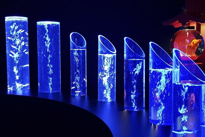 Tokyo Art Aquarium Museum E-Ticket with optional Tokyo Metro Pass - How the Displays Feel in Practice
