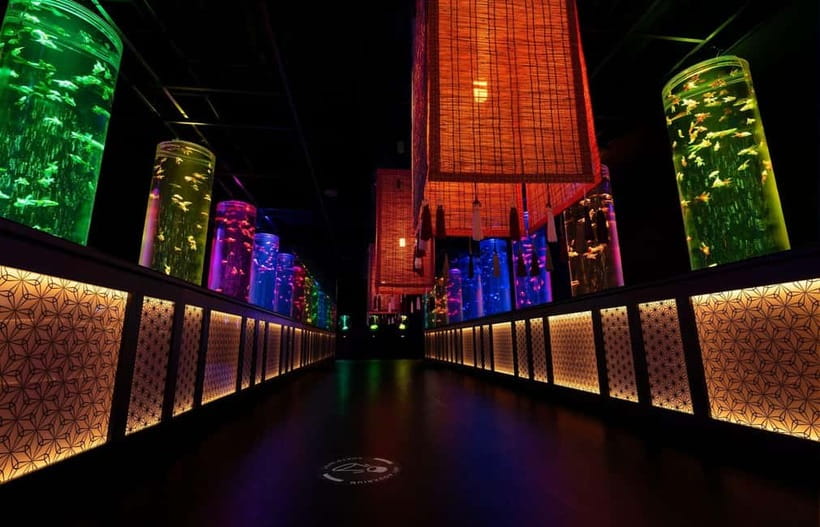Tokyo: Art Aquarium Museum GINZA Entry Ticket - Goldfish displays worth taking your time with