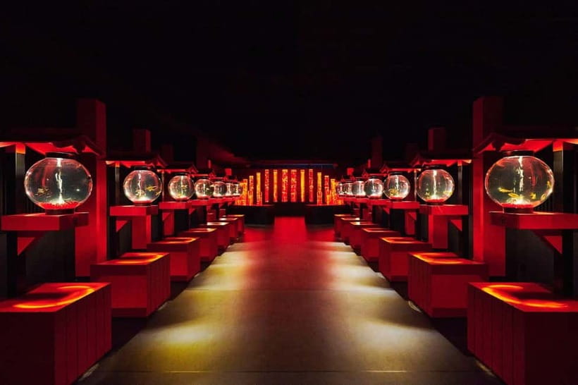 Tokyo: Art Aquarium Museum GINZA Entry Ticket - Who will enjoy this most?