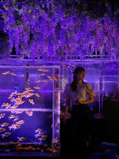 Tokyo: Art Aquarium Museum GINZA Entry Ticket - Entering at Ginza Mitsukoshi