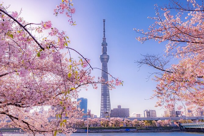 Tokyo Asakusa Half Day Walking Tour with Local Guide - Is $61.78 a fair price?