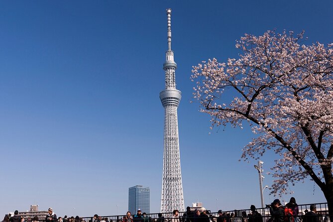 Tokyo Asakusa Half Day Walking Tour with Local Guide - Nakamise Shopping Street, with snacks at every turn
