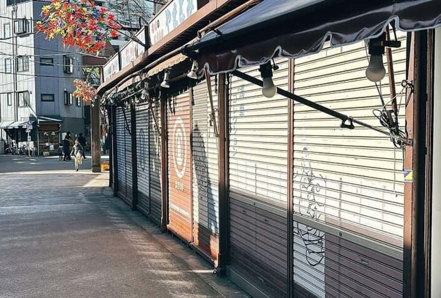 Tokyo: Asakusa, Kappabashi, and Ueno Walking Tour - Guides, pace, and flexibility