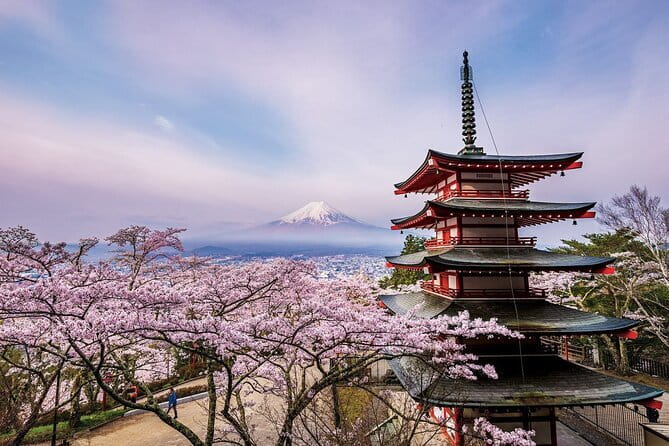 Tokyo: Asakusa Temple & Shrine Walking Tour with Local Guide - Is $30 a fair price for two hours?