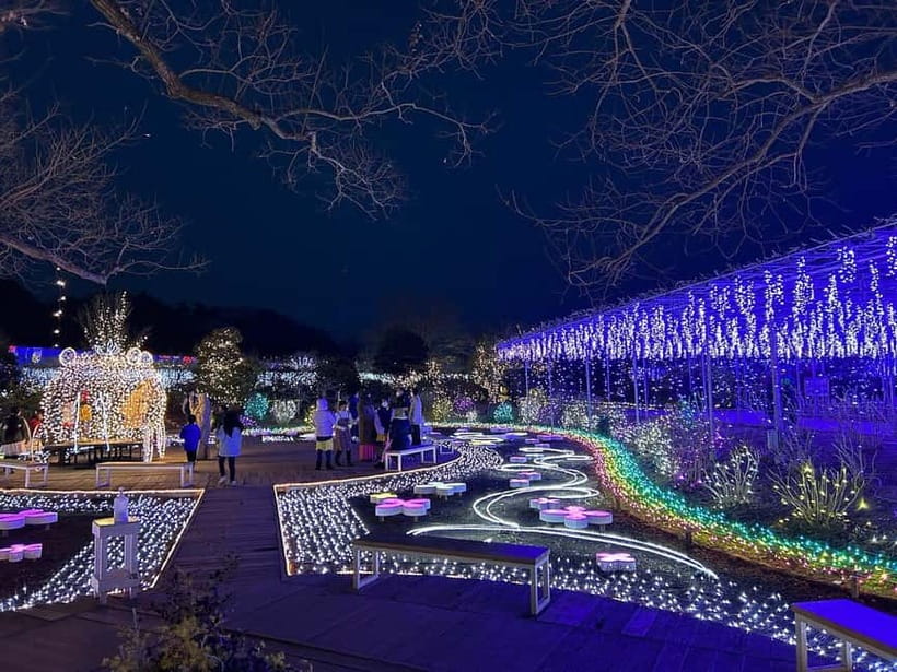 Tokyo: Ashikaga Flower Park with Entry Ticket - Key points to know before booking