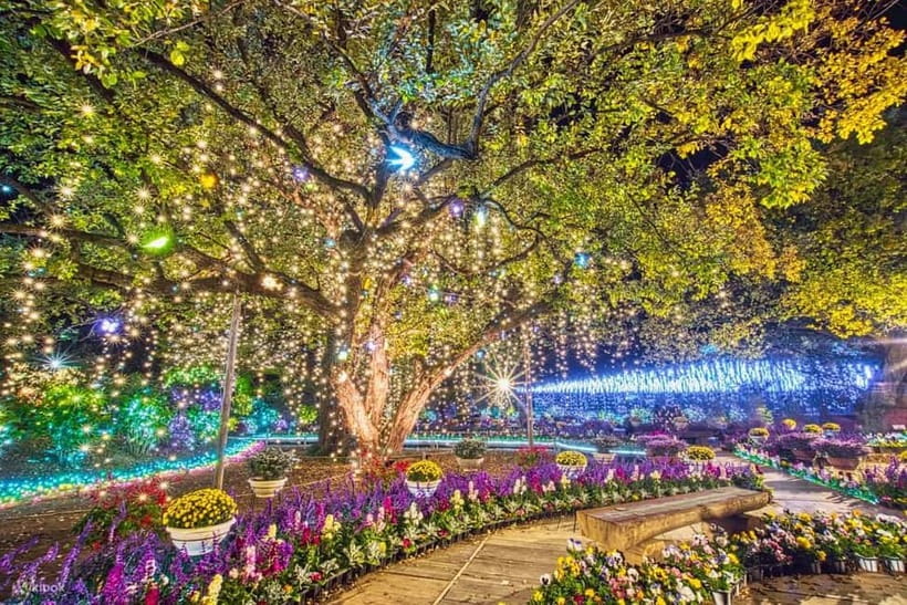 Tokyo: Ashikaga Flower Park with Entry Ticket - Getting there and finishing at Oyama Station