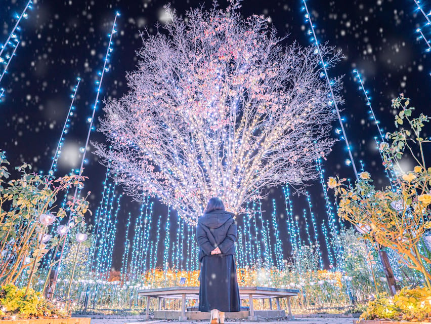 Tokyo: Ashikaga Flower Park with Entry Ticket - Is $206 a fair price?
