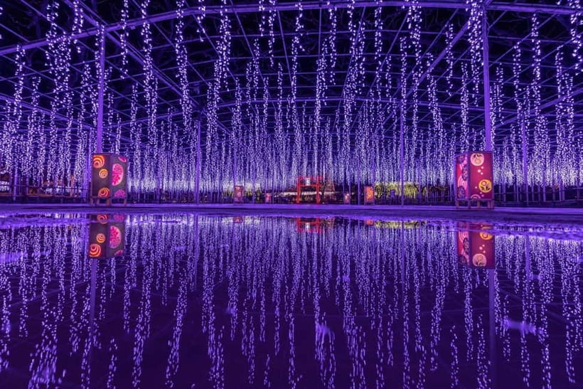 Tokyo: Ashikaga Flower Park with Entry Ticket - Useful booking details to keep in mind