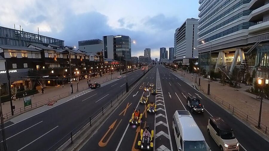 Tokyo Bay: Scenic Skyline Go-Kart Tour (120 Minutes) - The license rules are the most important detail