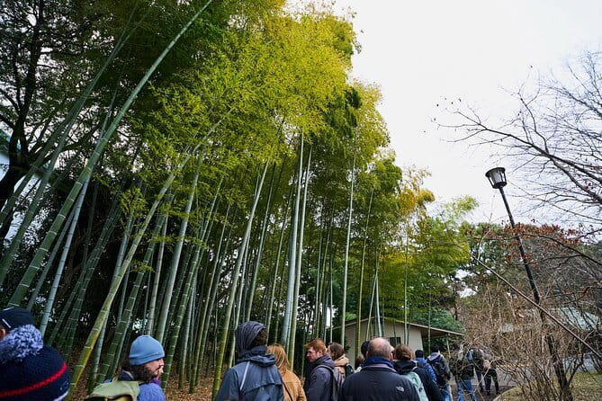 Tokyo Castle & Imperial PalaceーShogun Walking Tour - Why Edo Castle is the real star