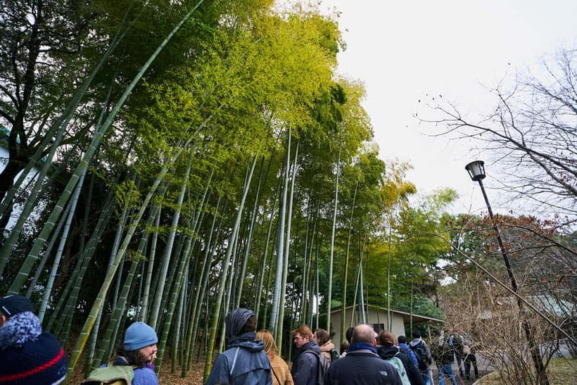 Tokyo Castle & Imperial PalaceーShogun Walking Tour - Imperial Palace East Gardens: the final twenty minutes