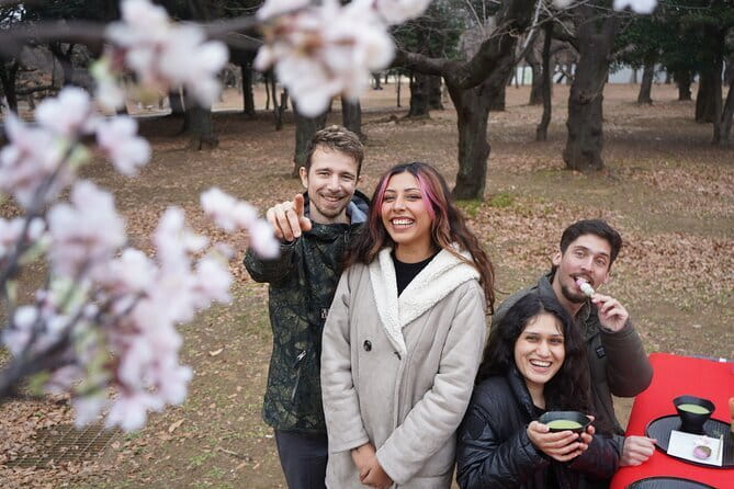 Tokyo Cherry Blossom Matcha Experience in Yoyogi Park (Shibuya) - Meeting near Harajuku Station