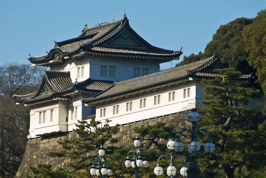 Tokyo:Cherry Blossom Mt Fuji & Shibazakura Festival Day Trip - Key points to know before booking