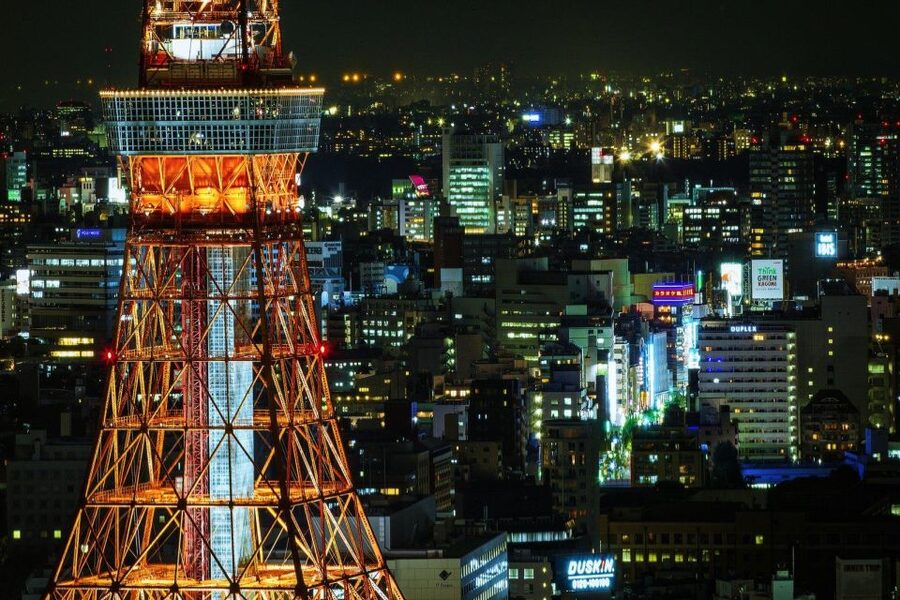 Tokyo:Cherry Blossom Mt Fuji & Shibazakura Festival Day Trip - Who will enjoy this Fuji day trip most?