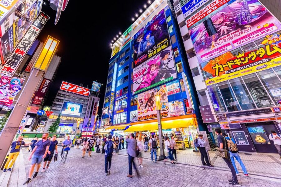 Tokyo:Cherry Blossom Mt Fuji & Shibazakura Festival Day Trip - Why the Shibazakura Festival is the star of the day