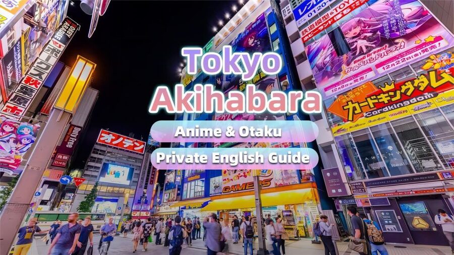 Tokyo:Cherry Blossom Mt Fuji & Shibazakura Festival Day Trip - A 10-hour day from Tokyo, with traffic as the wild card