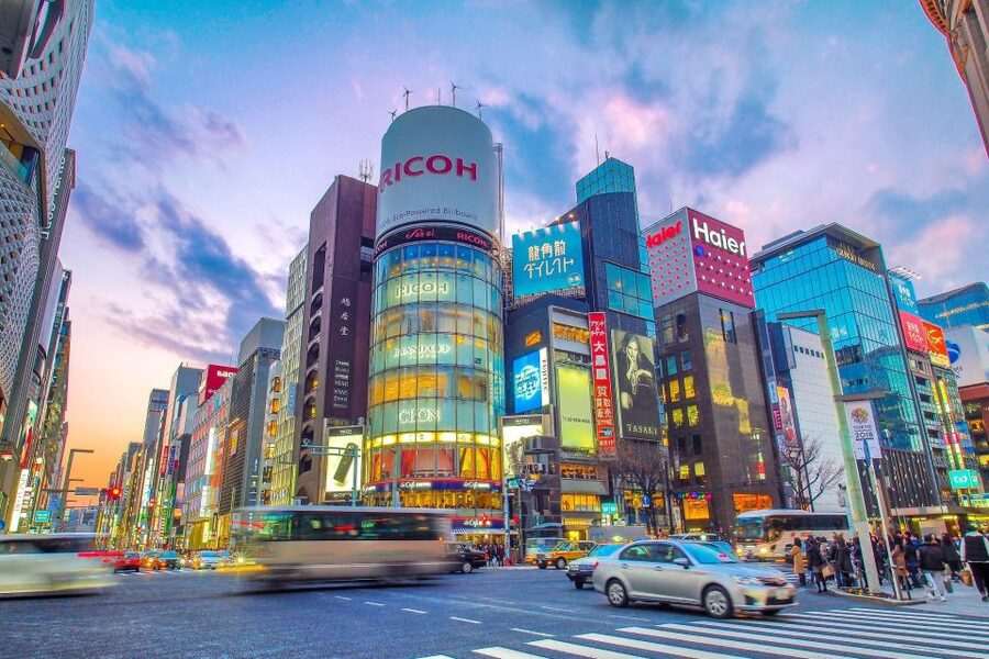Tokyo:Cherry Blossom Mt Fuji & Shibazakura Festival Day Trip - Pickup choices and the Tokyo Station meeting point