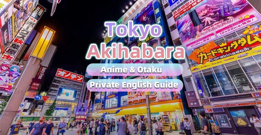 Tokyo:Cherry Blossom Mt Fuji & Shibazakura Festival Day Trip - Is $77 a fair price?