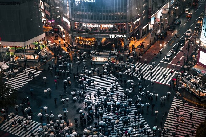 Tokyo City 1-Day Private Tour with Bilingual Driver - The driver makes or breaks the day