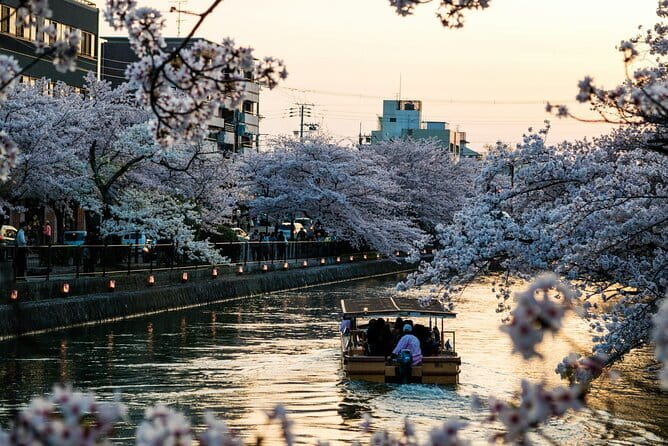 Tokyo City Adventures Private English Tour With Hotel Pickup - A private shortcut through a very large city