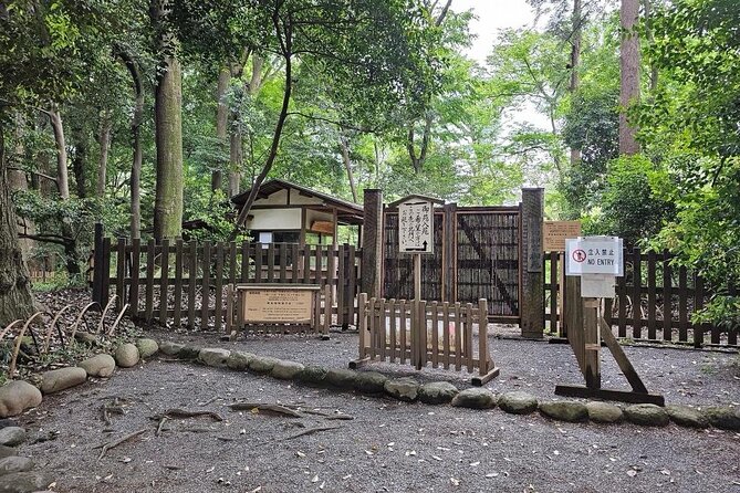 Tokyo City Attractive One Day Tour - Meiji Jingu and the forest around the shrine