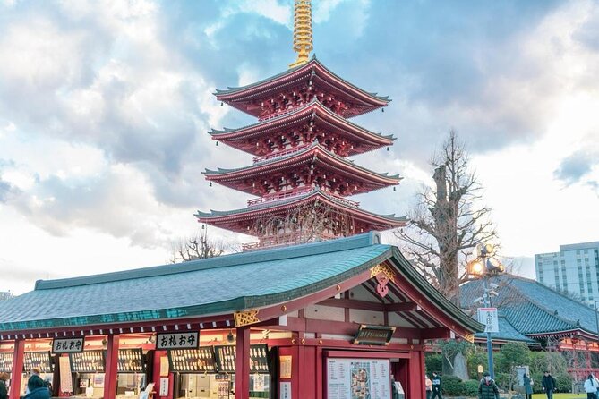 Tokyo City Attractive One Day Tour - Tokyo Tower and the story of modern Japan