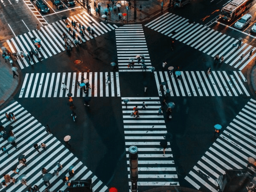 Tokyo City: Customize Day Tour English Speaking Chauffer - What the flexible route really means