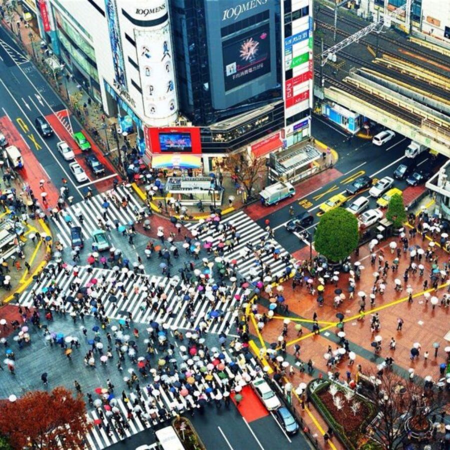 Tokyo City: Customize Day Tour English Speaking Chauffer - Tokyo Tower gives you a classic city view