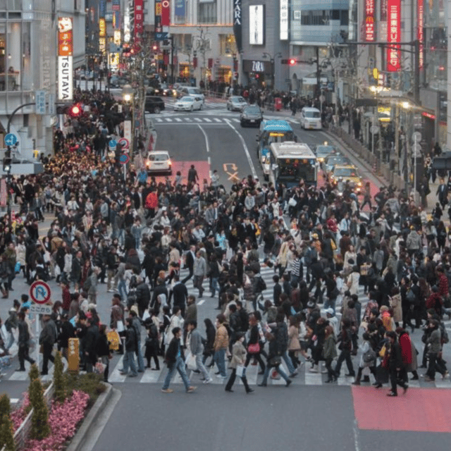 Tokyo City: Customize Day Tour English Speaking Chauffer - Shibuya Crossing finishes with Tokyo at full speed