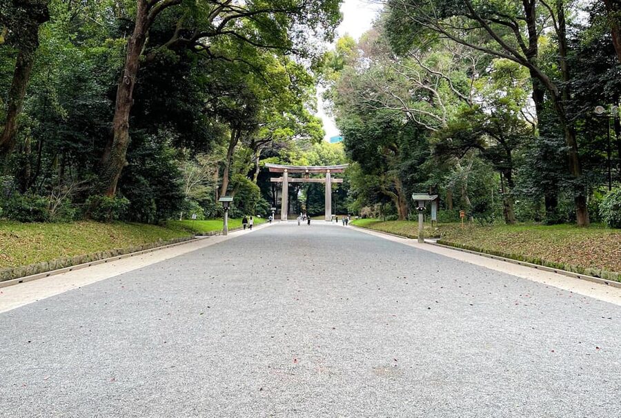 Tokyo: City Tour B - Price, transport, and the real value