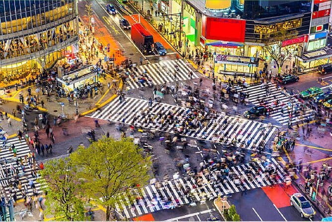 Tokyo City Tour by Private Car & English guide - Tsukiji Outer Market: make lunch part of the plan