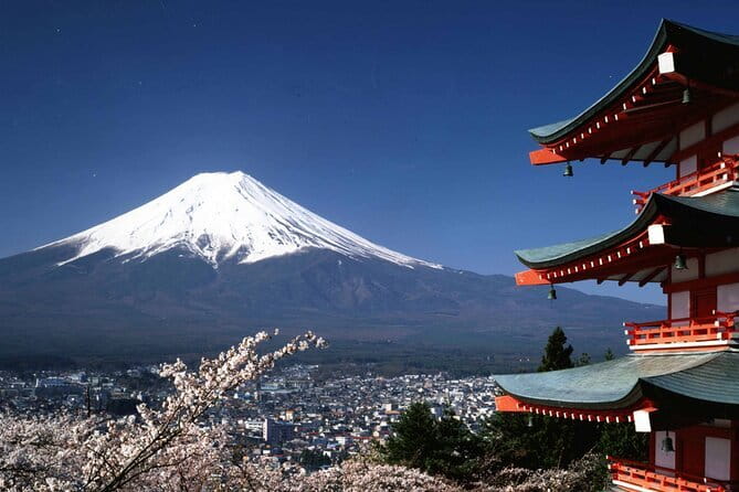 Tokyo City Tour by Private Car & English guide - Odaiba: Tokyo Bay and modern entertainment