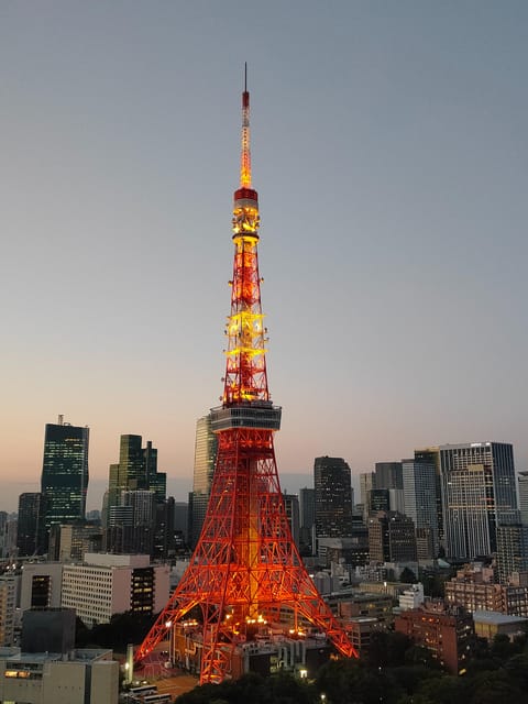 Tokyo: City Tour Tokyo With Driver - Meiji Shrine and Takeshita Street show two sides of Harajuku
