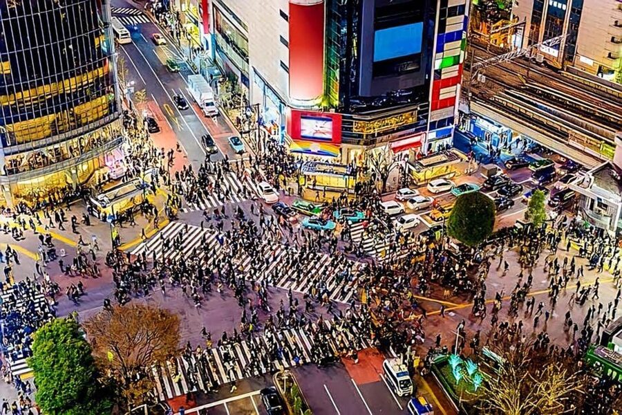 Tokyo: City Tour Tokyo With Driver - Shibuya Crossing is a quick, high-energy stop