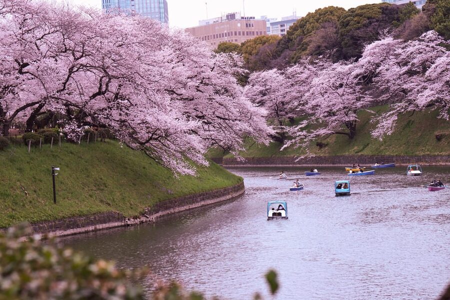 Tokyo: City Tour Tokyo With Driver - Customizing the route is the real selling point