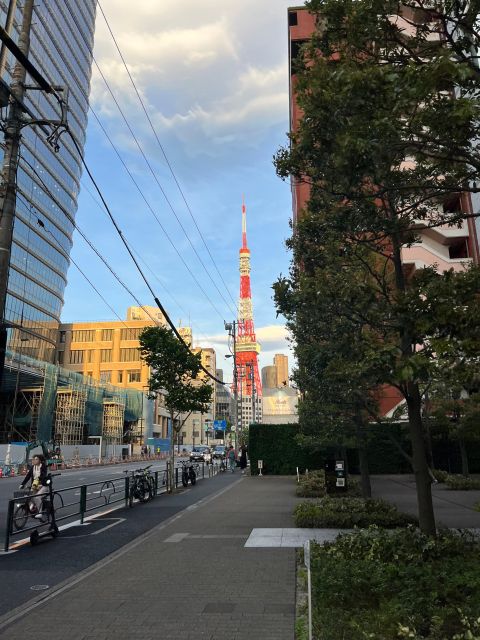 tokyo city walk tour visit Tokyo in one day - Akihabara, anime, and family requests