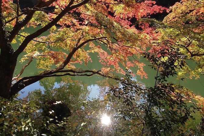 Tokyo Countryside Exploration Private Tour - Key points at a glance