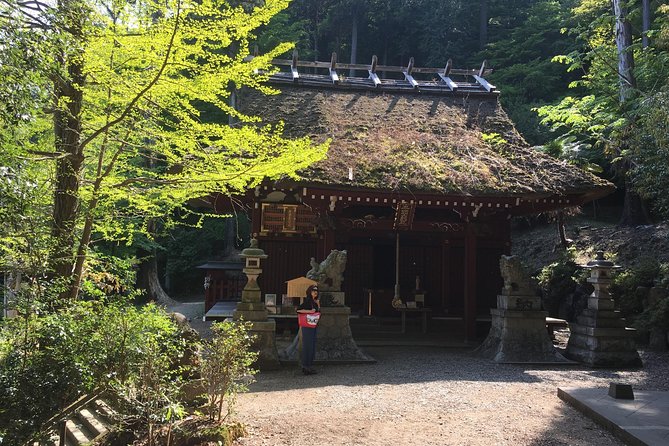 Tokyo Countryside Exploration Private Tour - Ne-no-gongen and the mountain view