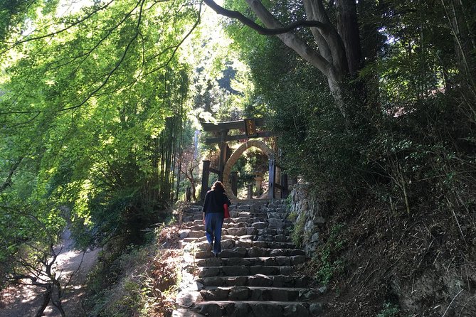Tokyo Countryside Exploration Private Tour - The Torii Pagoda and the Xuanzang story