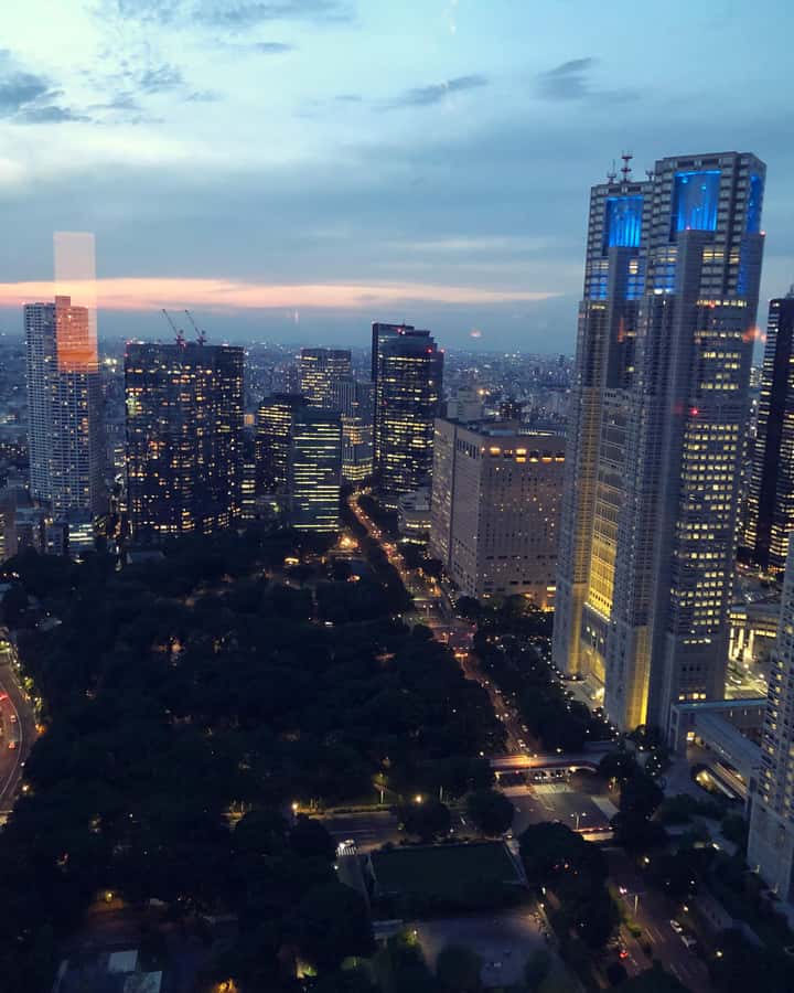 Tokyo: Customizable Day Trip Within Tokyo & Its Attractions - Key points to know before booking