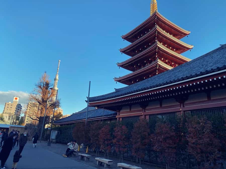 Tokyo: Customizable Day Trip Within Tokyo & Its Attractions - A Tokyo day built around your priorities