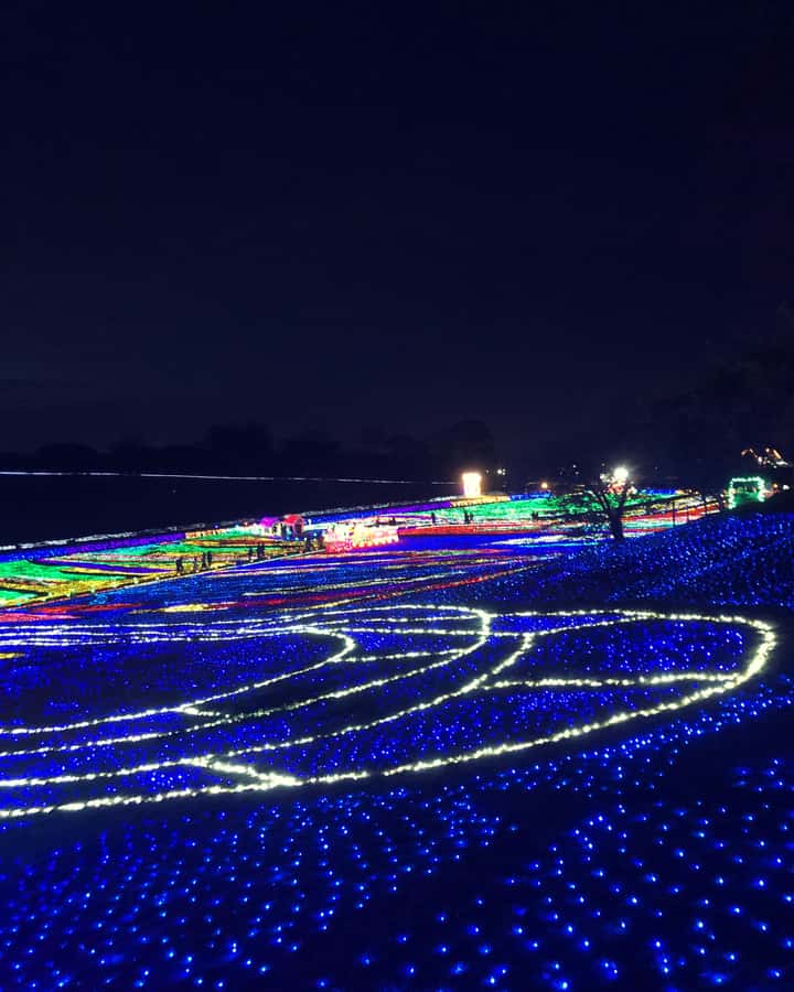 Tokyo: Customizable Day Trip Within Tokyo & Its Attractions - Shibuya for Tokyo’s famous city energy