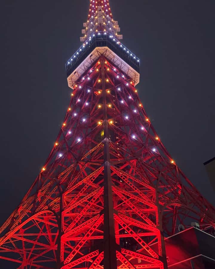 Tokyo: Customizable Day Trip Within Tokyo & Its Attractions - SkyTree and Odaiba offer a different side of Tokyo