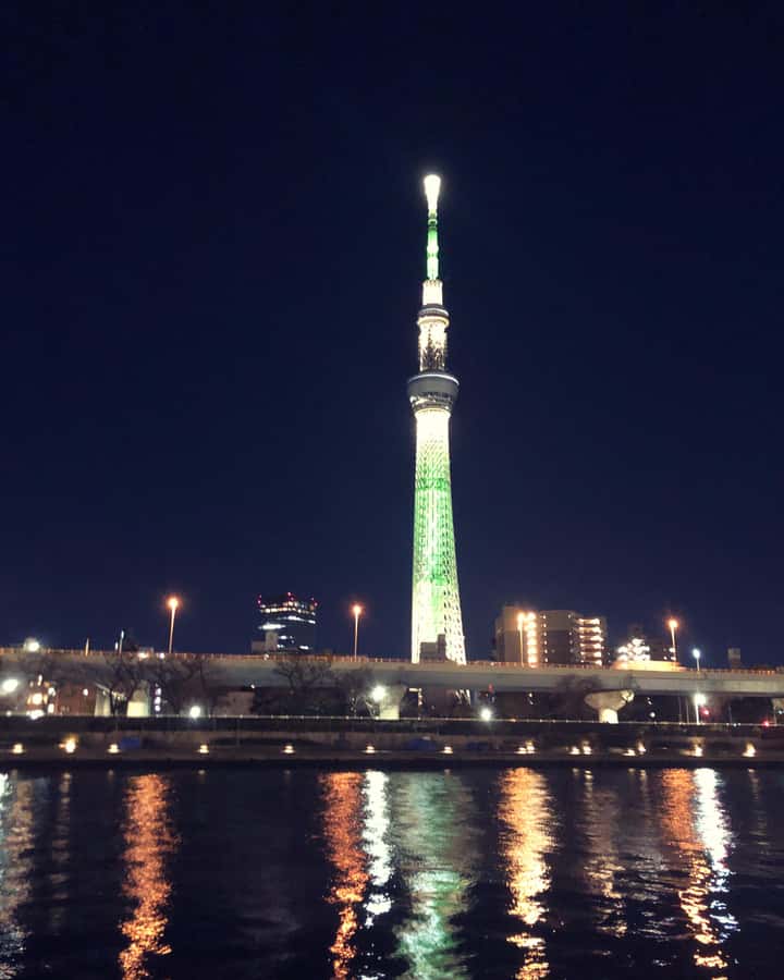 Tokyo: Customizable Day Trip Within Tokyo & Its Attractions - What the private vehicle changes