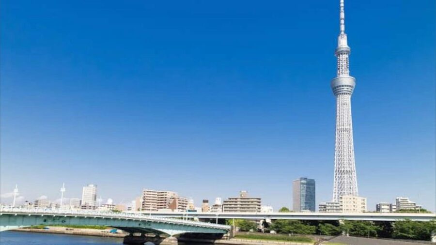 Tokyo: Customizable Private Guided Walking Tour - What the $87 price really buys
