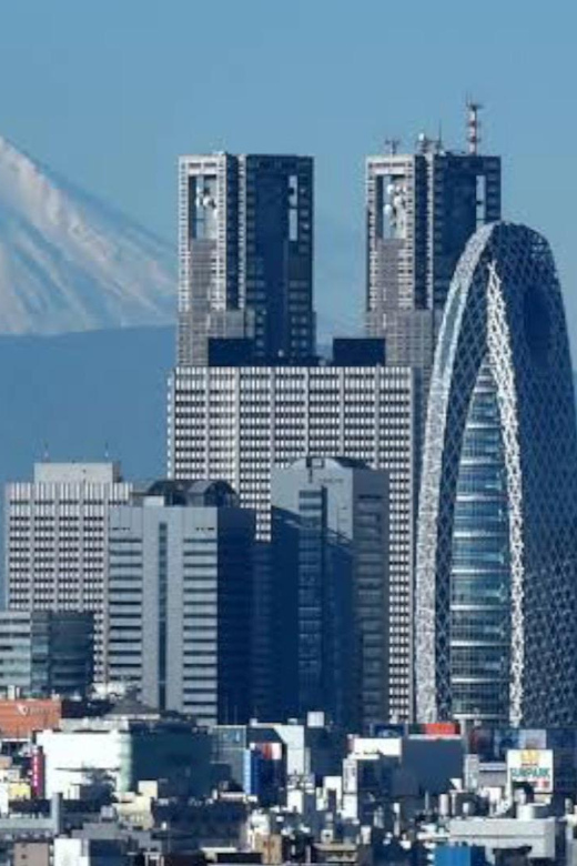 Tokyo: Customizable Private Guided Walking Tour - Booking details that affect your decision