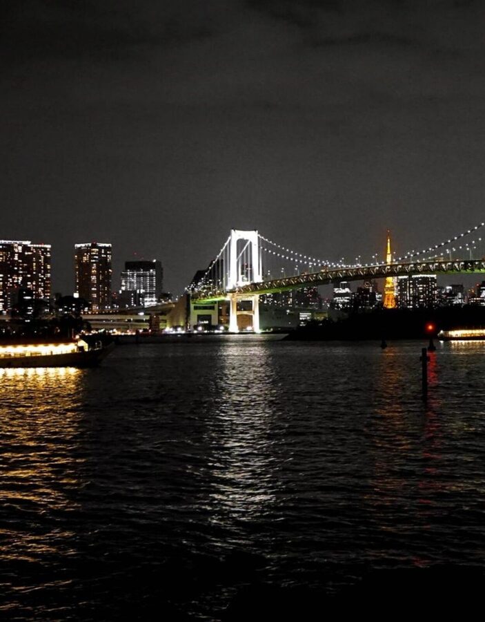 Tokyo Customizable Private Tour by Car & Van - Tokyo Tower gives the day a clear city view