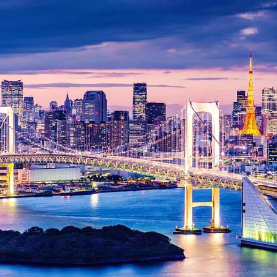 Tokyo Customize Private City Tour By English Speaking Driver - Tokyo One Piece Tower and teamLab Planets