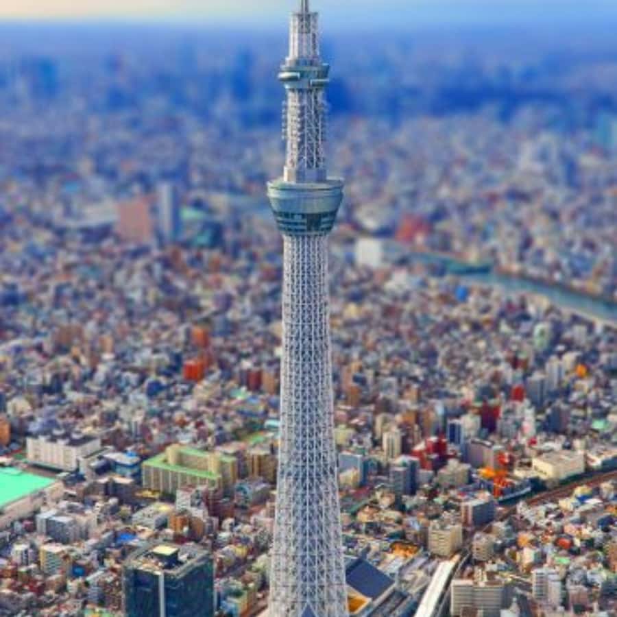 Tokyo Customize Private City Tour By English Speaking Driver - Tsukiji Outer Market for food and local color